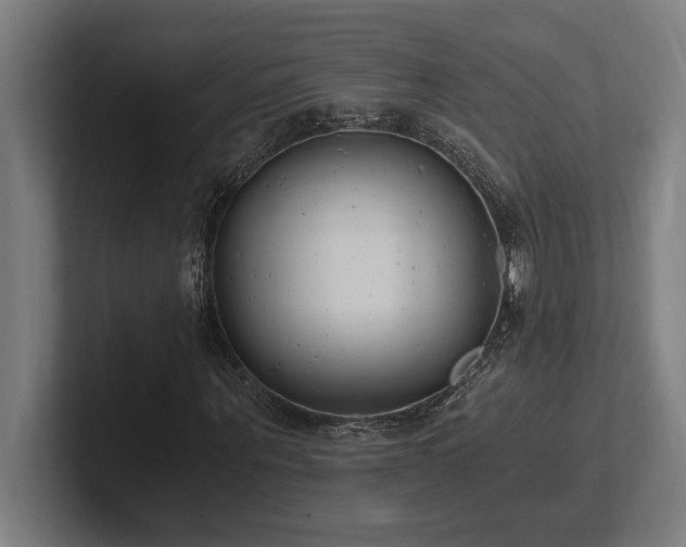 X0000102370867200808011511