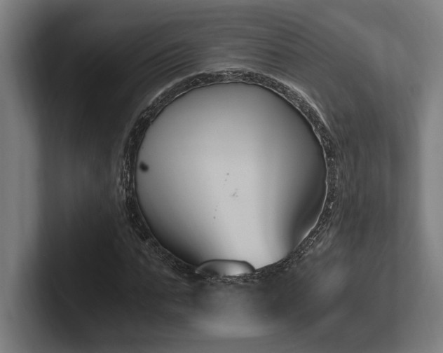 X0000102370871200808011511