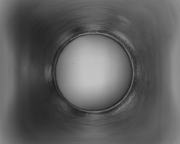 X0000102370873200808011511