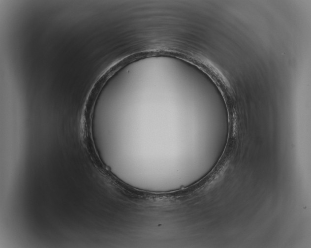 X0000102370876200808011511