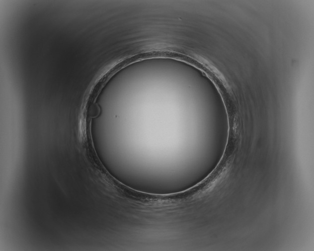 X0000102370877200808011511