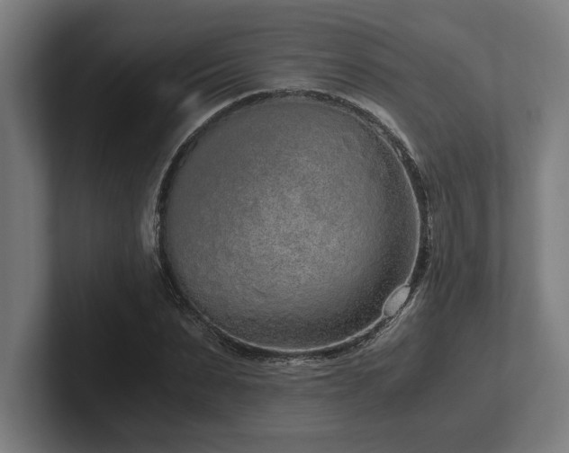 X0000102370879200808011511