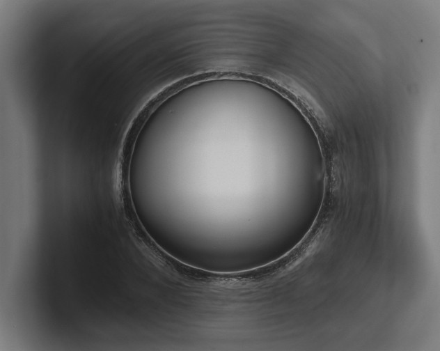 X0000102370880200808011511