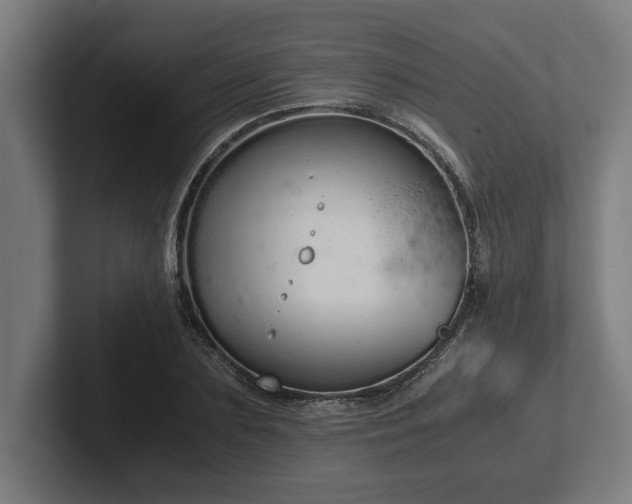 X0000102370883200808011511