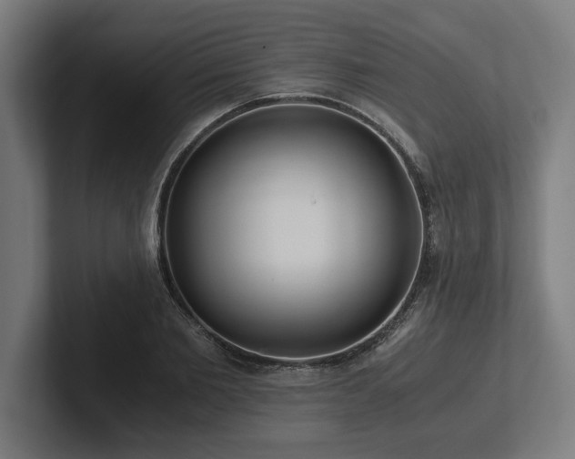 X0000102370885200808011511