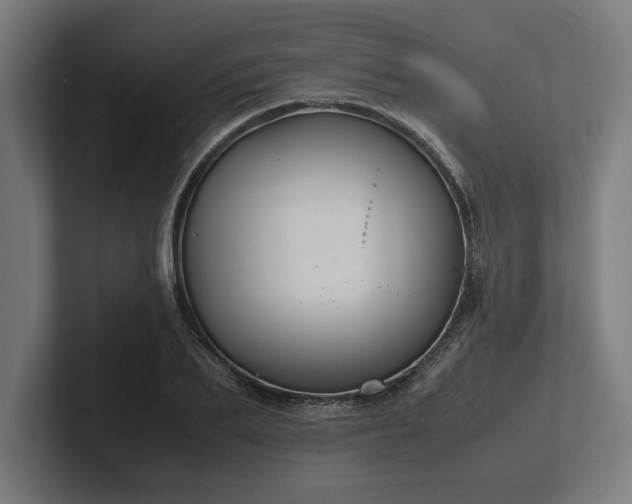 X0000102370887200808011511