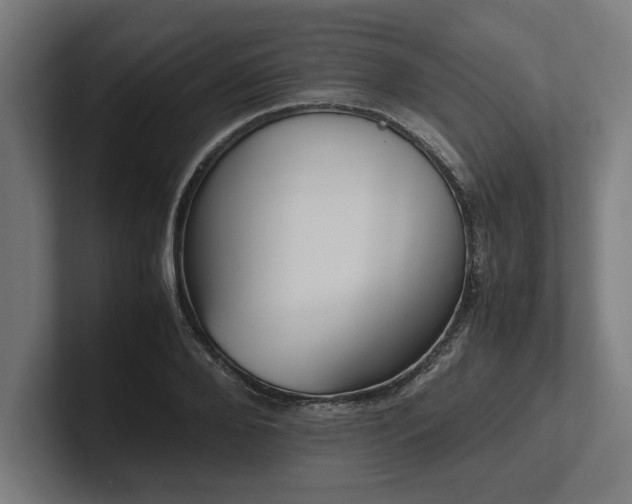 X0000102370888200808011511