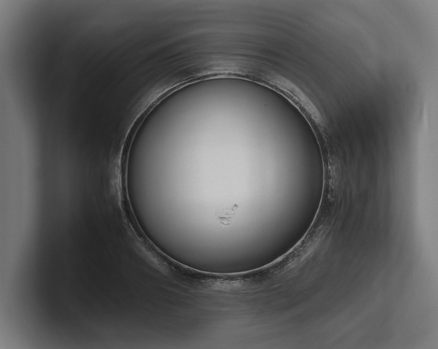 X0000102370890200808011511