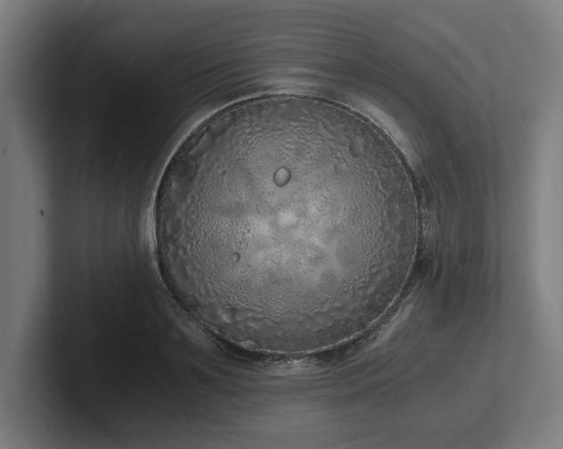 X0000102370891200808011511
