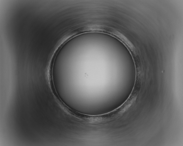 X0000102370893200808011511