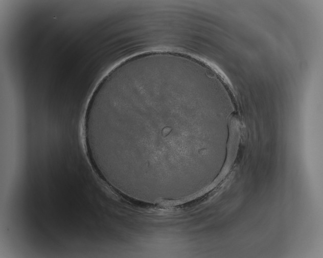 X0000102370895200808011511
