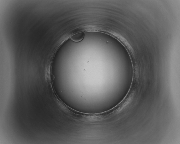 X0000102370897200808011511