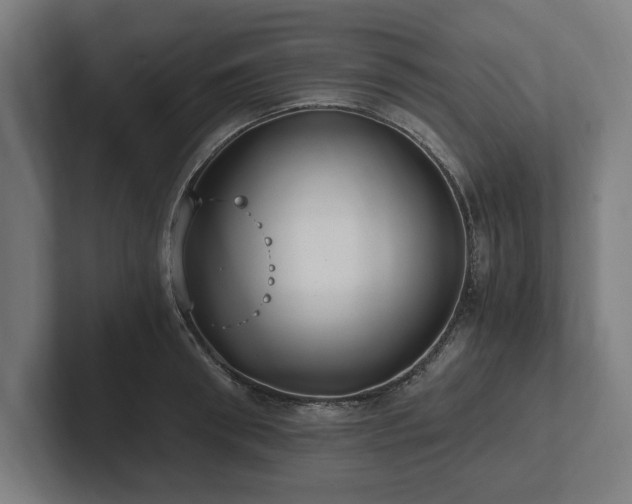 X0000102370898200808011511