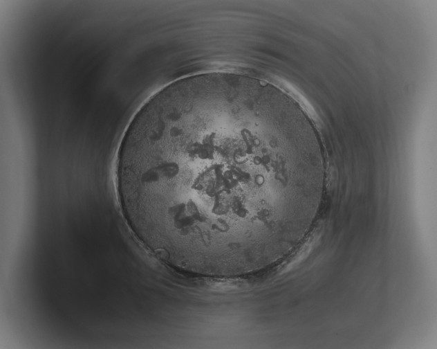 X0000102370899200808011511