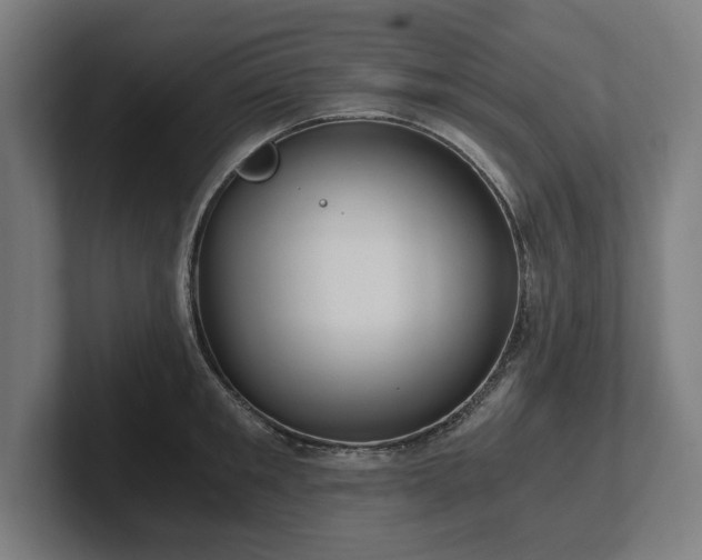 X0000102370901200808011511