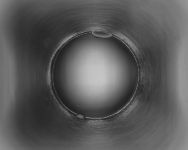X0000102370902200808011511