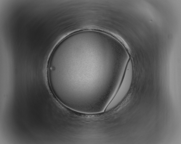 X0000102370903200808011511