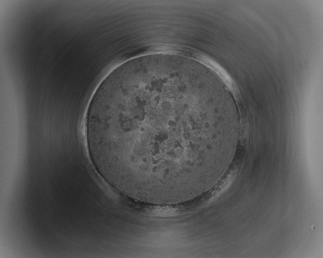 X0000102370907200808011511
