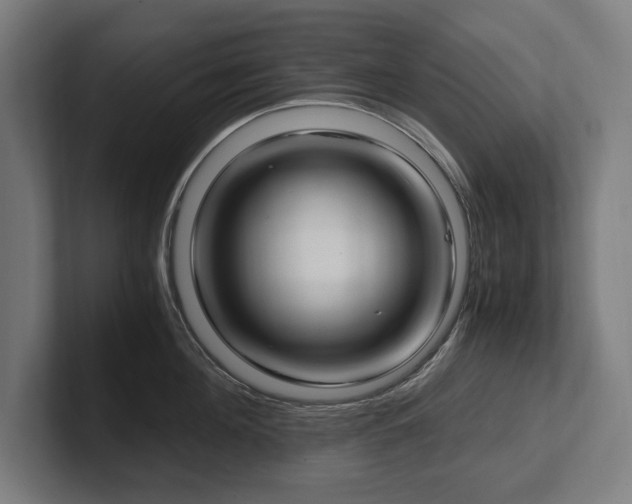 X0000102370908200808011511