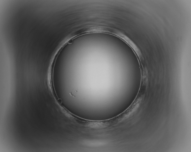 X0000102370909200808011511