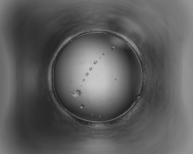 X0000102370911200808011511