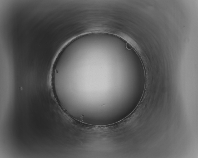 X0000102370912200808011510
