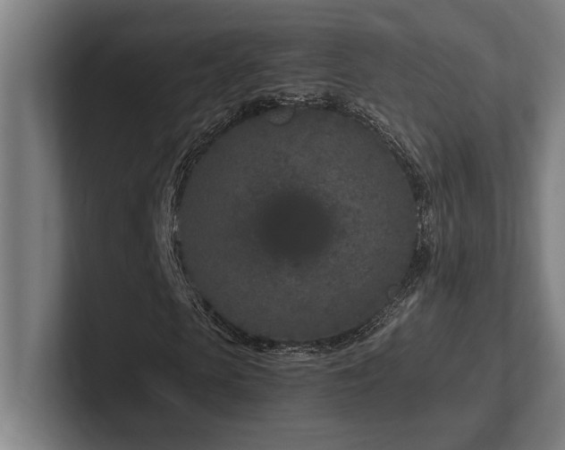 X0000102370913200808011510