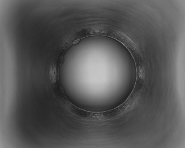 X0000102370915200808011510