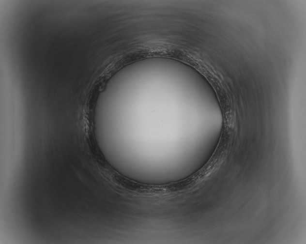 X0000102370916200808011510