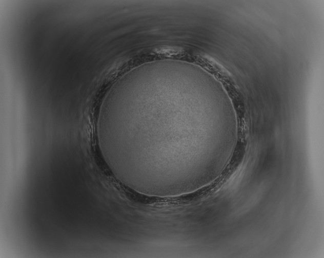 X0000102370917200808011510
