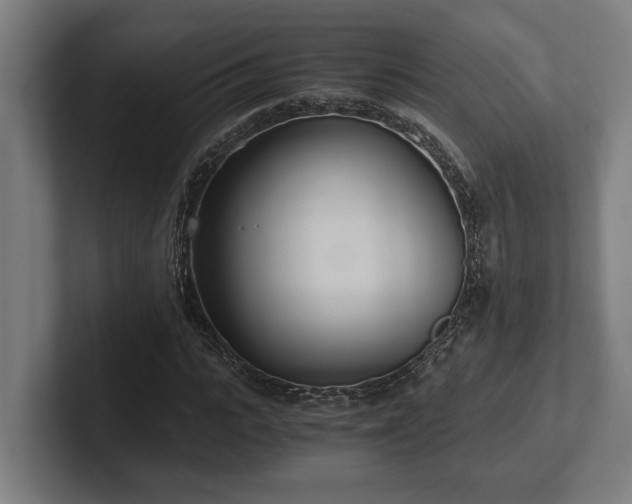 X0000102370919200808011510