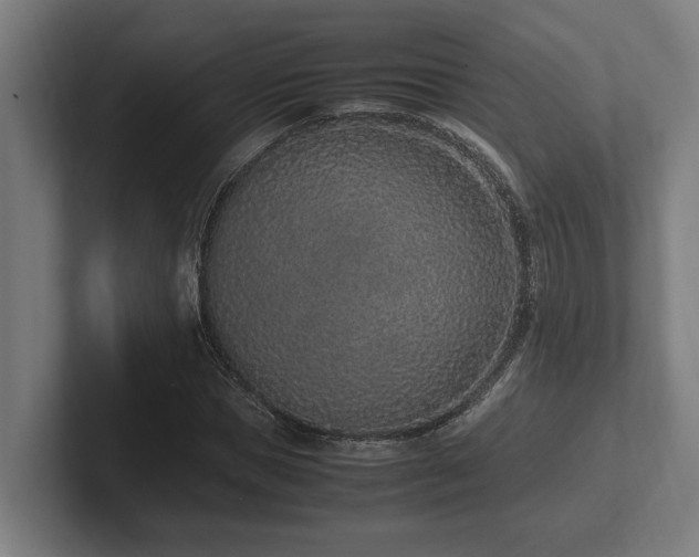 X0000102370921200808011510