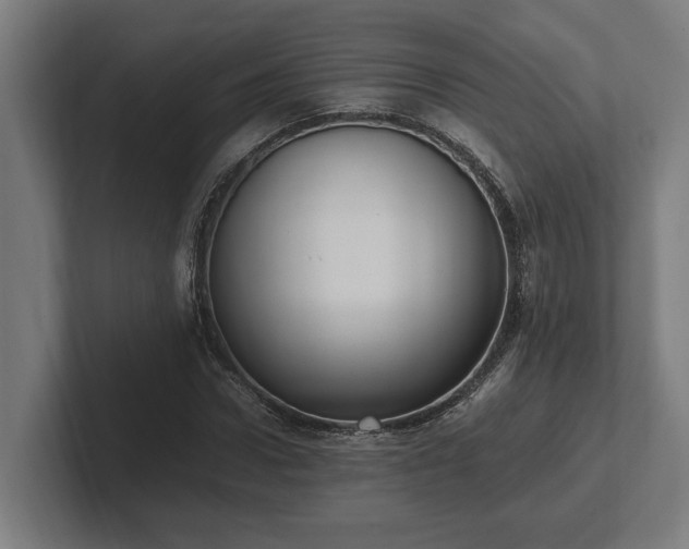 X0000102370922200808011510