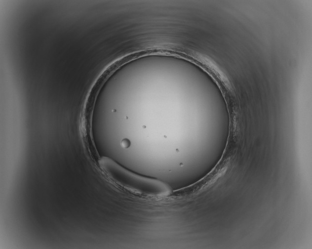 X0000102370924200808011510