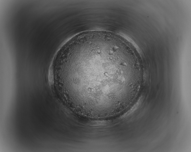 X0000102370925200808011510