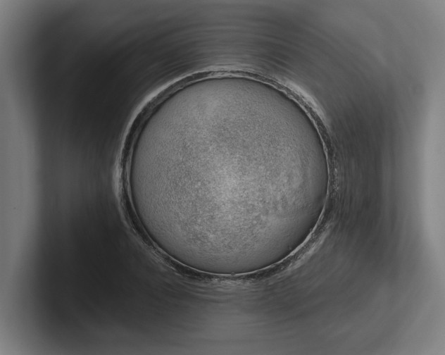 X0000102370928200808011510