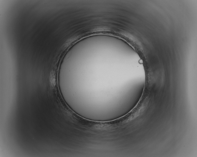X0000102370929200808011510