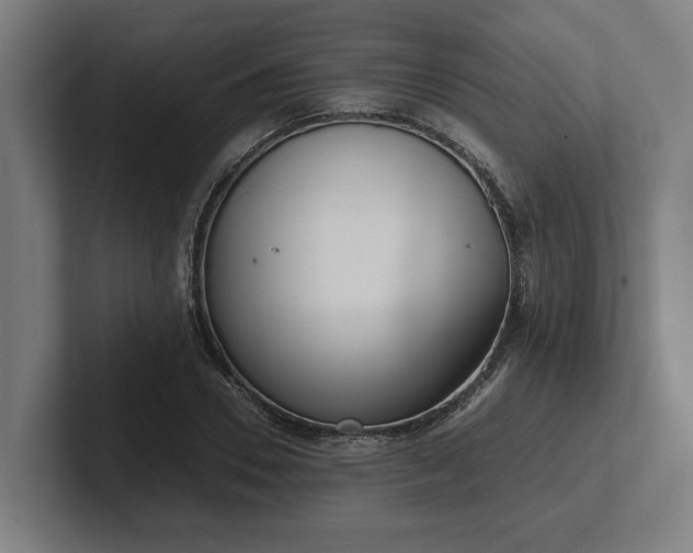 X0000102370930200808011510