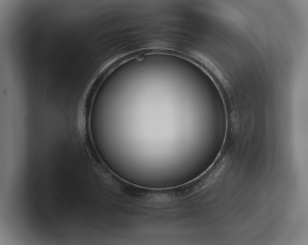 X0000102370931200808011510