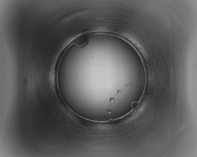 X0000102370933200808011510