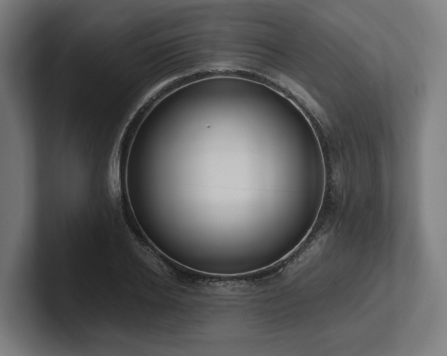 X0000102370934200808011510