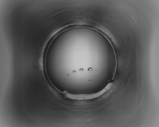 X0000102370935200808011510