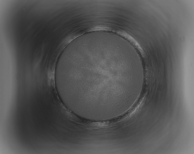 X0000102370937200808011510