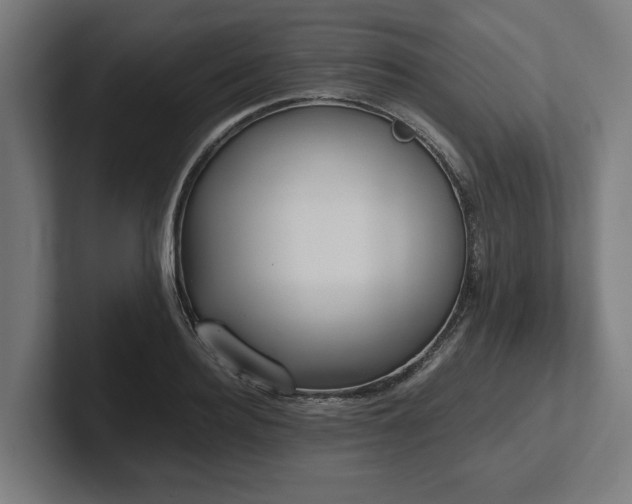 X0000102370940200808011510