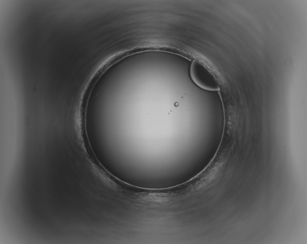 X0000102370942200808011510