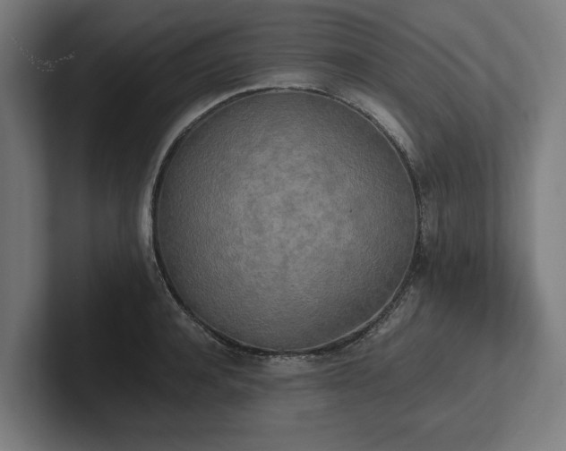 X0000102370944200808011510