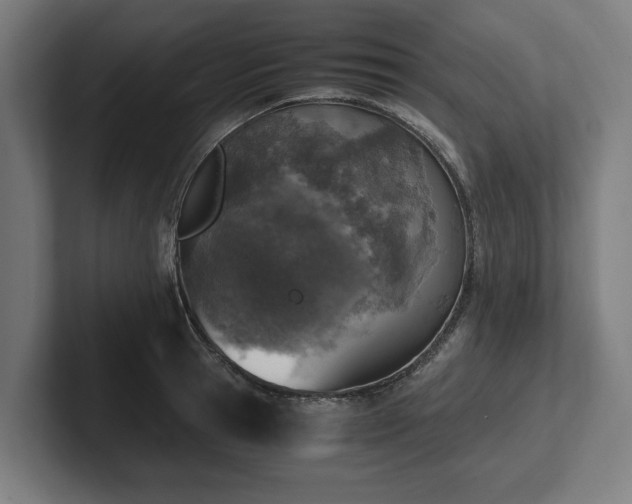 X0000102370945200808011510