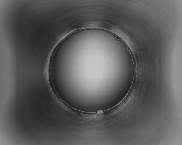 X0000102370949200808011510
