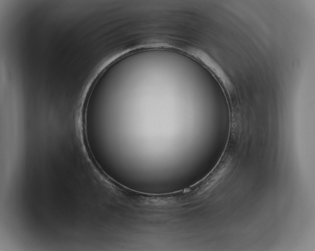 X0000102370951200808011510