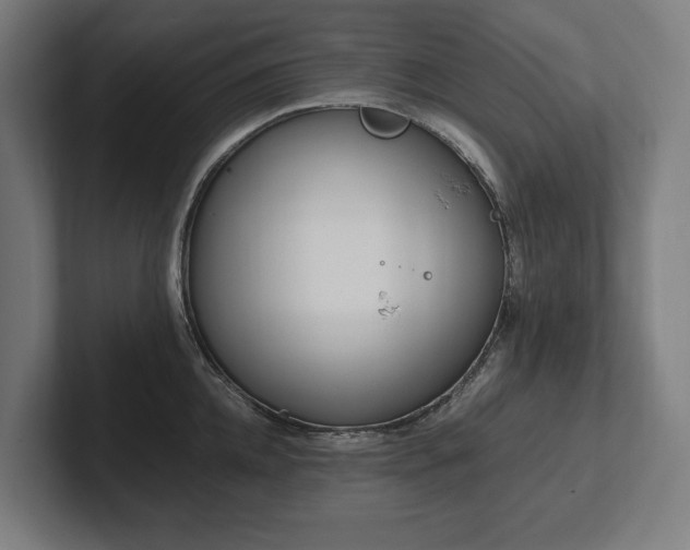 X0000102370952200808011510